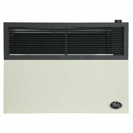 ASHLEY HEARTH PRODUCTS 17,000 BTU Direct Vent Natural Gas Wall Heater DVAG17N